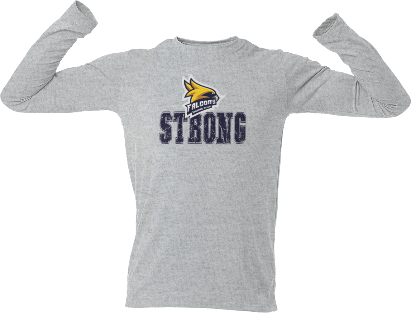 Falcon Strong Short or Long Sleeve T Shirt - Shining Rock Classical Academy Spirit Wear