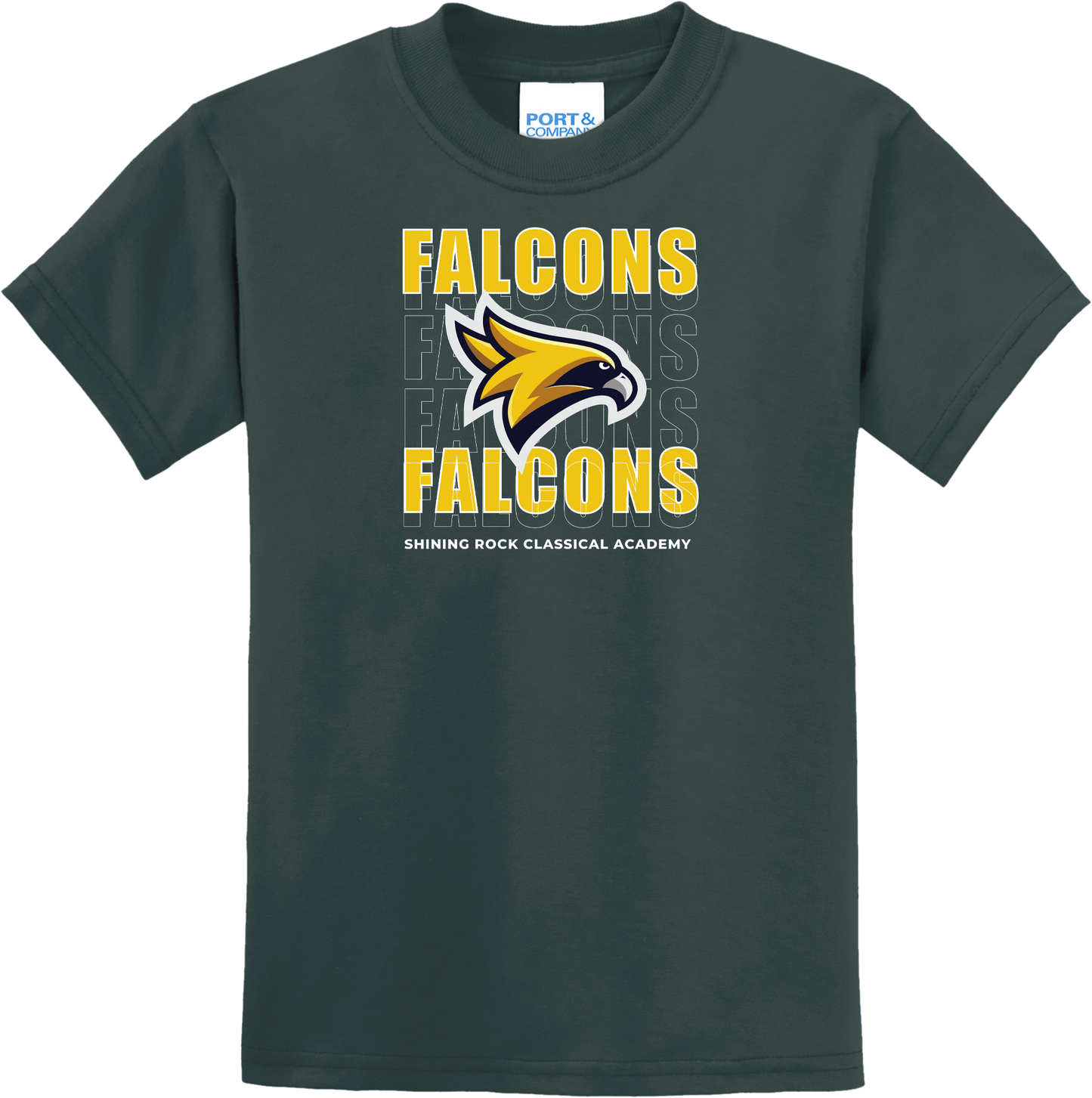 Falcon Cascade Design T Shirt - Shining Rock Classical Academy Spirit Wear