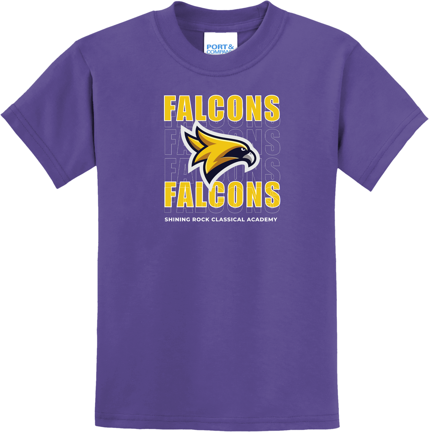 Falcon Cascade Design T Shirt - Shining Rock Classical Academy Spirit Wear